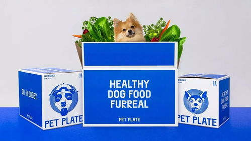 Pet Plate品牌视觉升级 明瑞文化引领宠物食品行业的全新美学风潮